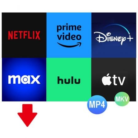 Pazu-StreamGet-All-In-One-Video-Download