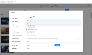 Pazu Netflix Video Downloader 2
