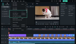 Wondershare Filmora 2