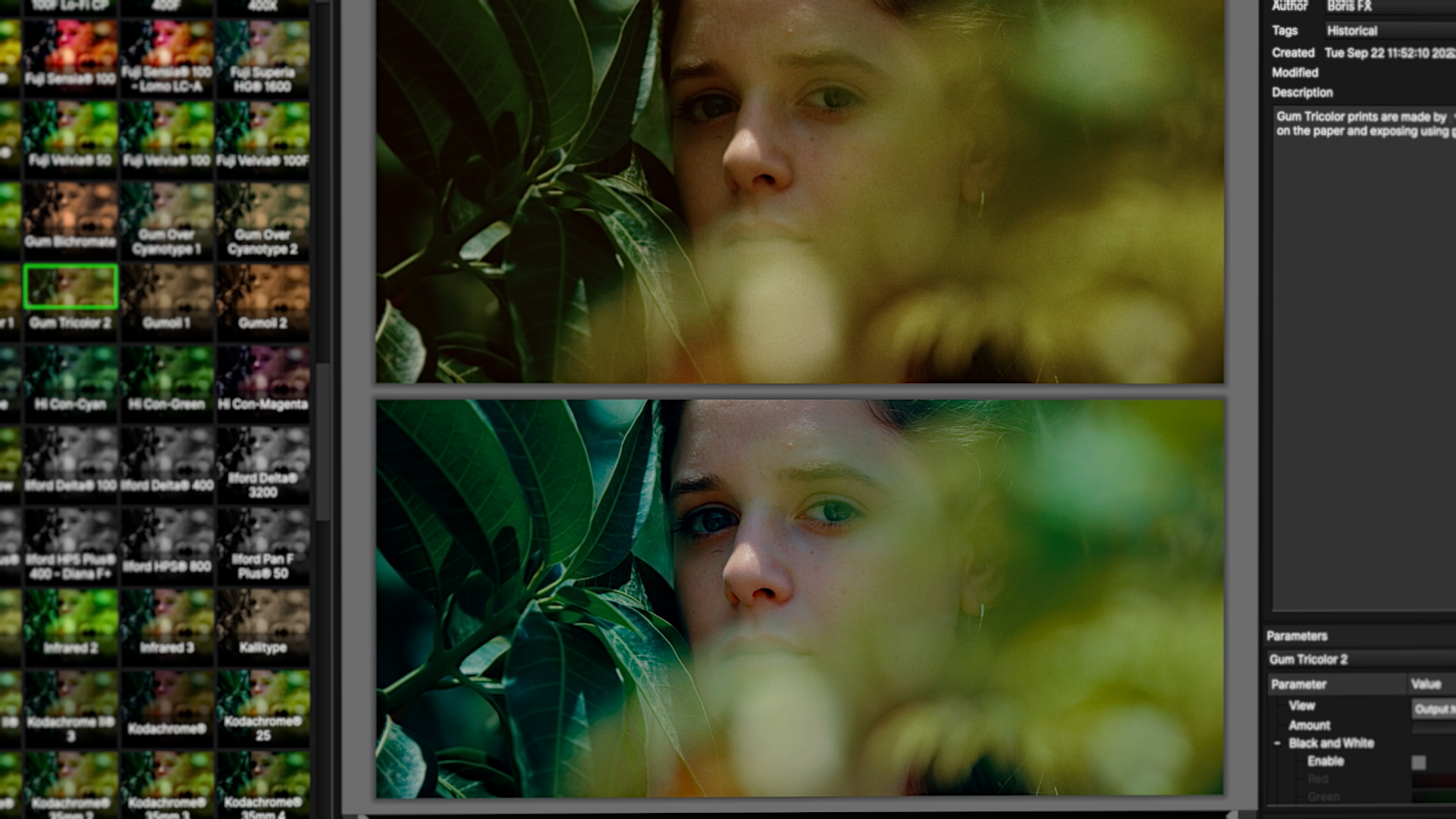 Boris-FX-Continuum-Plug-ins1.jpg