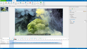 ActivePresenter Professional Edition 1