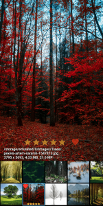 Fast Photo Gallery Pro: F-Stop 2