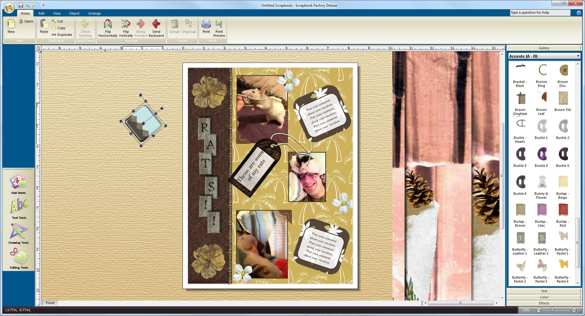 Scrapbook-Factory-Deluxe1.jpg