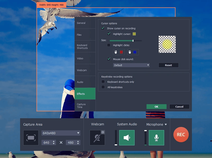 Movavi-Screen-Recorder1.png