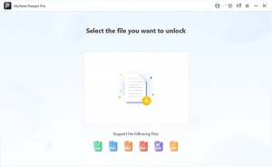 iMyFone Passper Pro 1