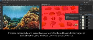 ACDSee Gemstone Photo Editor 1