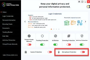 Cyber Privacy Suite 1