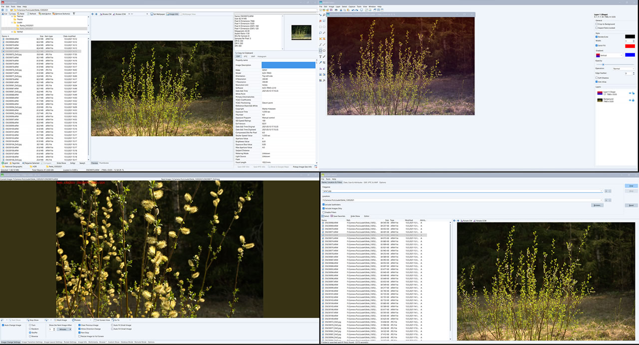 WildBit-Viewer1.jpg