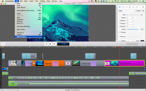 ScreenFlow 1