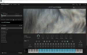 Native Instruments Kontakt 2