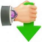 Internet Download Accelerator Pro logo