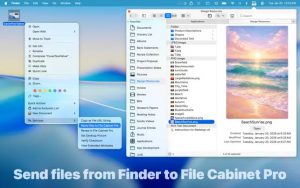 File Cabinet Pro 1