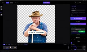 MadPeel AI Background Remover 1