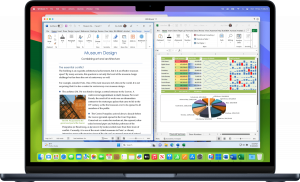 Parallels Desktop Business Edition 1