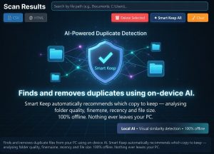 Duplicate Cleaner Pro X 1