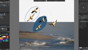 Escape Motions Rebelle Pro 1