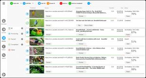 Any Video Downloader Pro 1