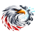 Net Eagle logo